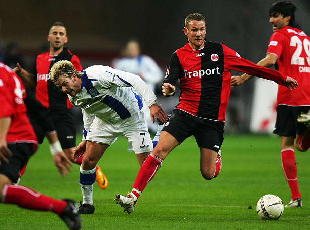 显复出成果 显复出成果